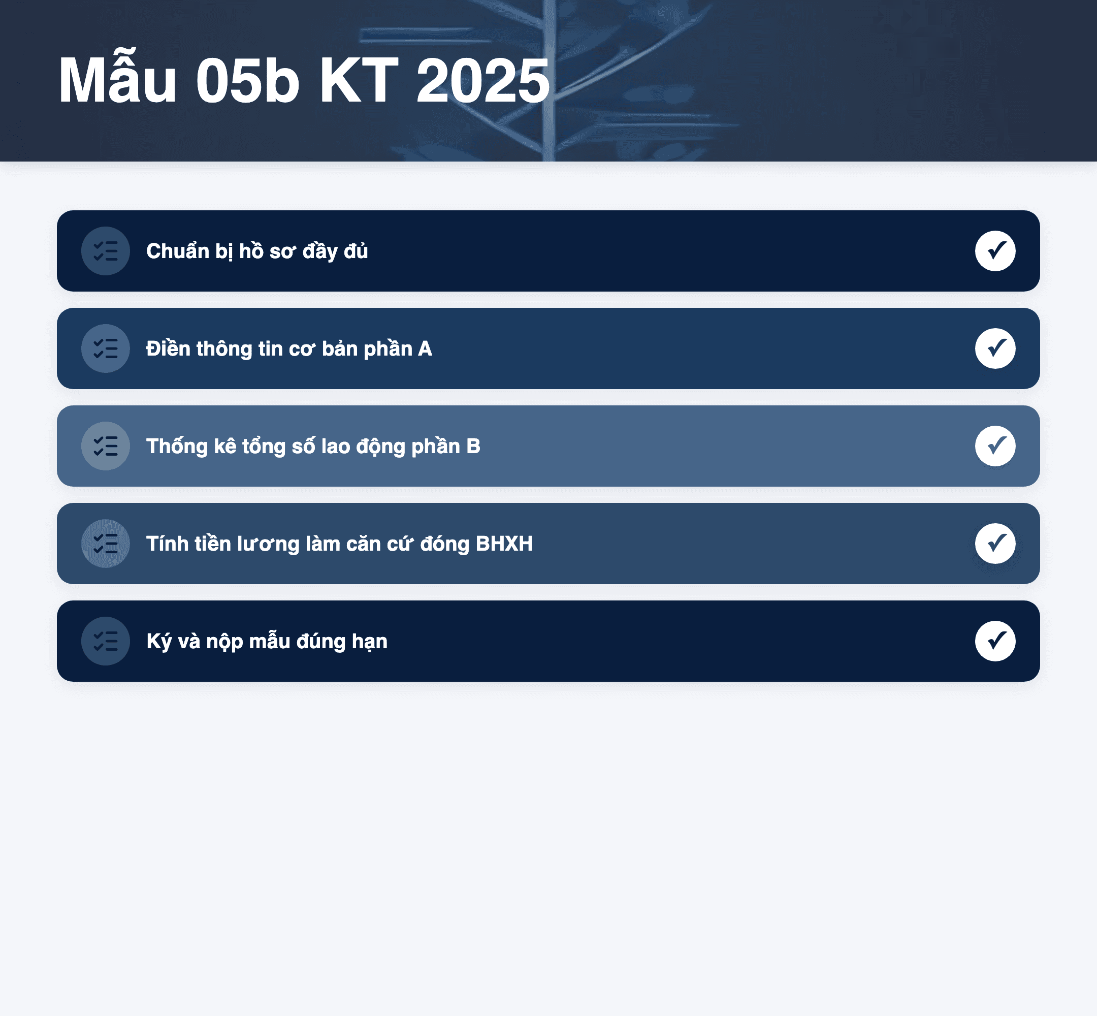 Infographic: Mẫu 05b KT 2025: Hướng dẫn điền báo cáo BHXH, BHYT bắt buộc