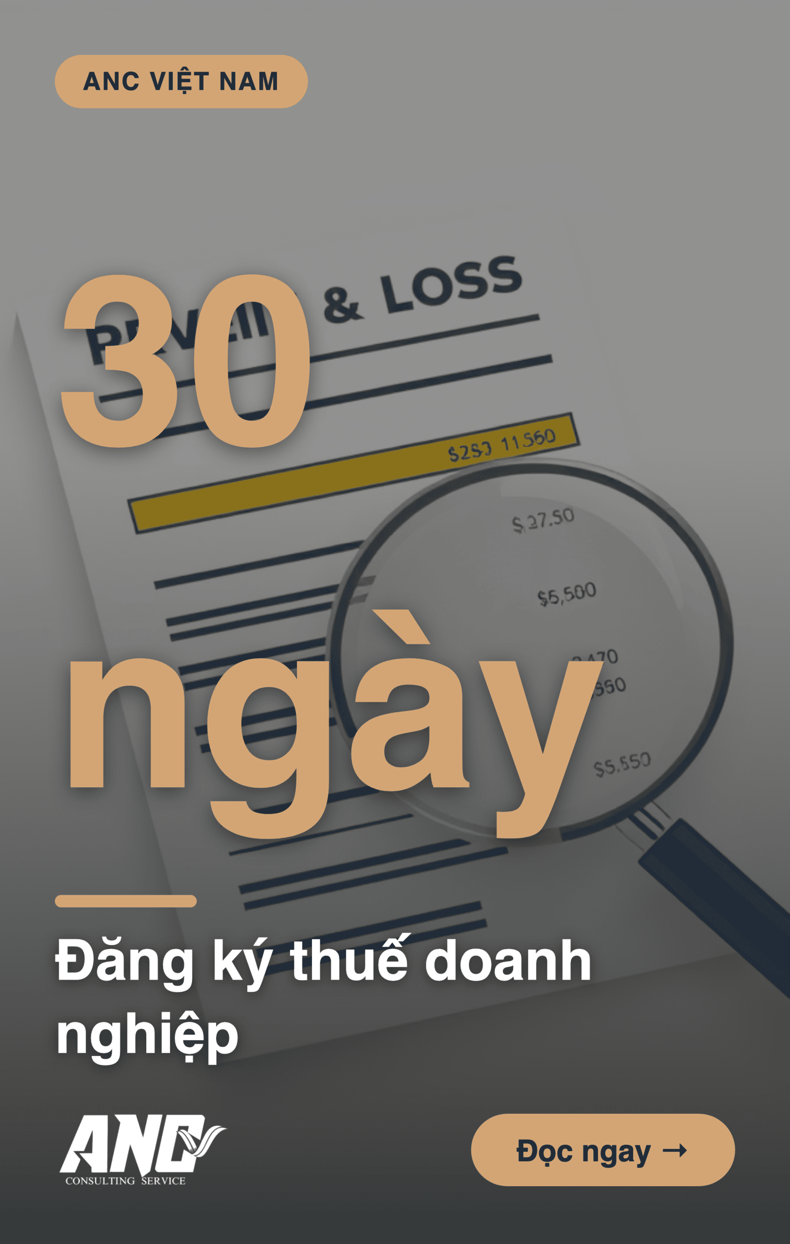 Infographic: Tài liệu hướng dẫn nghĩa vụ thuế doanh nghiệp mới thành lập TP Cần Thơ 2025: 7 bước cần biết